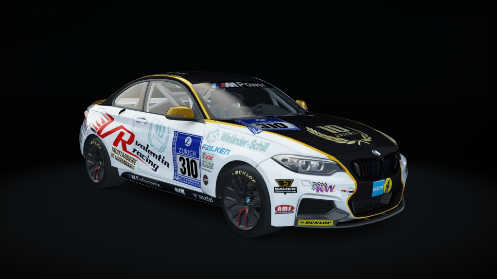 BMW M235i Racing, skin racing_310