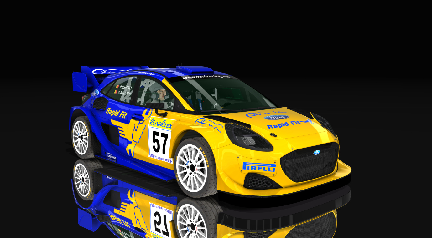 Ford Puma Rally1 2022, skin 4_pilot