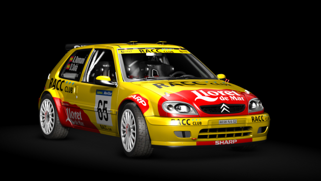 Citroen Saxo VTS (Fase 2) S1600, skin D. Solá - Rally RACC 2002