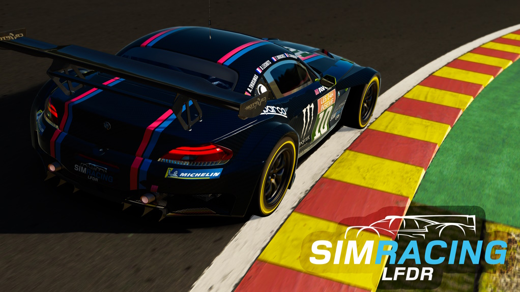 BMW Z4 GT3, skin 10_LFDR