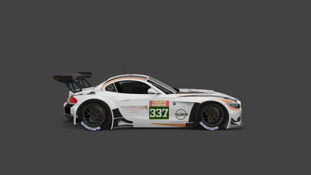 BMW Z4 GT3, skin 337_Freine_Trop_Tard