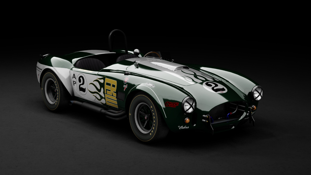GTC60 Shelby Cobra 289 Competition, skin 1973_feinstein_racing