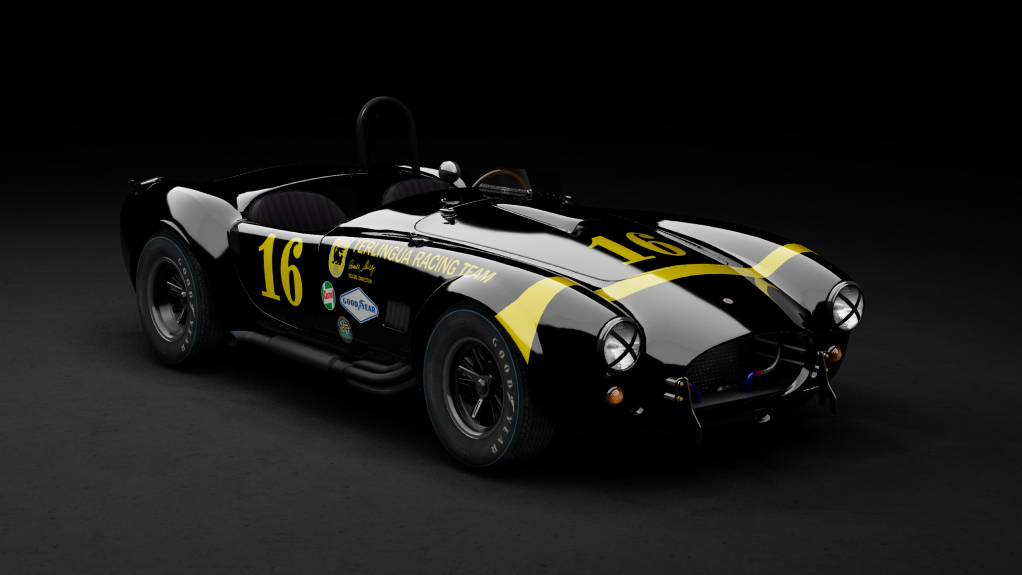 GTC60 Shelby Cobra 289 Competition, skin blackcompetition2