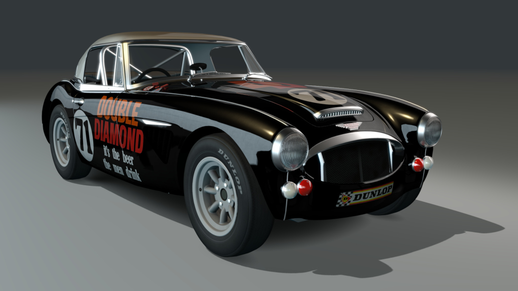 ACL GTC Healey 3000 Lightweight, skin black71