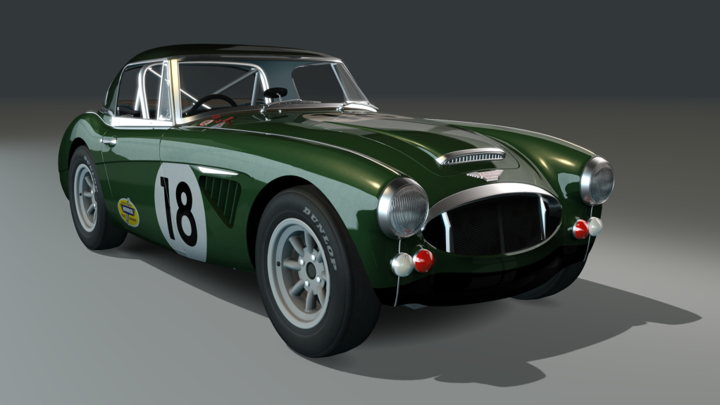 ACL GTC Healey 3000 Lightweight, skin green18