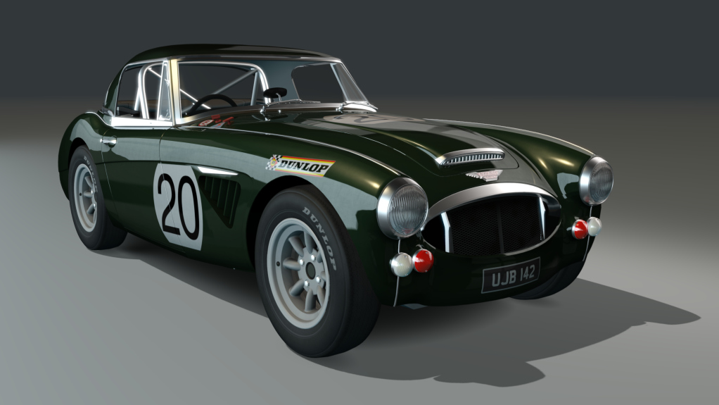 ACL GTC Healey 3000 Lightweight, skin green20