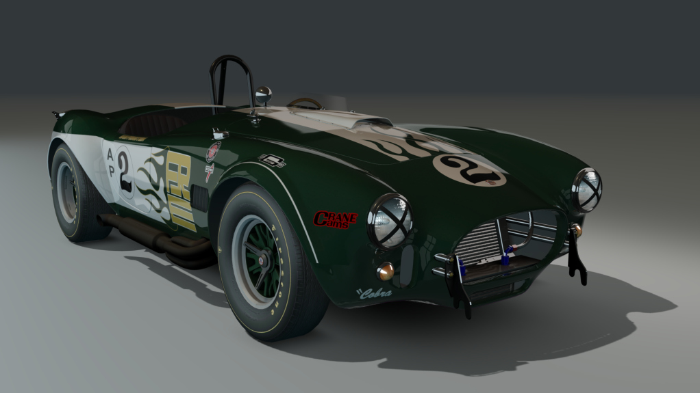 ACL GTC Shelby Cobra 289 Competition, skin 1973_feinstein_racing