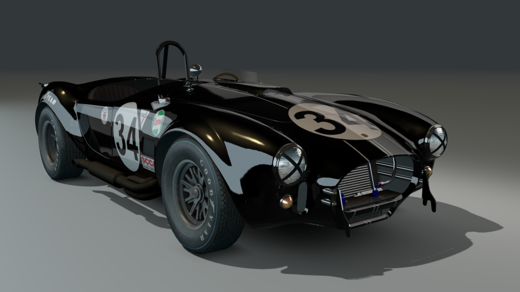 ACL GTC Shelby Cobra 289 Competition, skin black_34