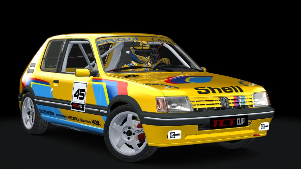 Peugeot 205 TCT Cup, skin camel