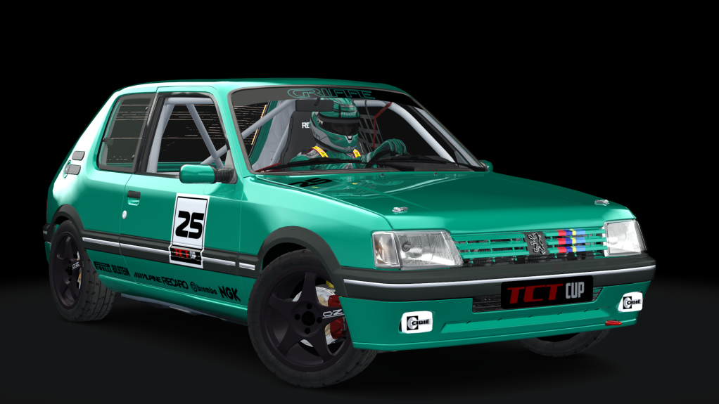 Peugeot 205 TCT Cup, skin griffe