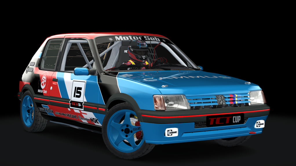 Peugeot 205 TCT Cup, skin motorseb