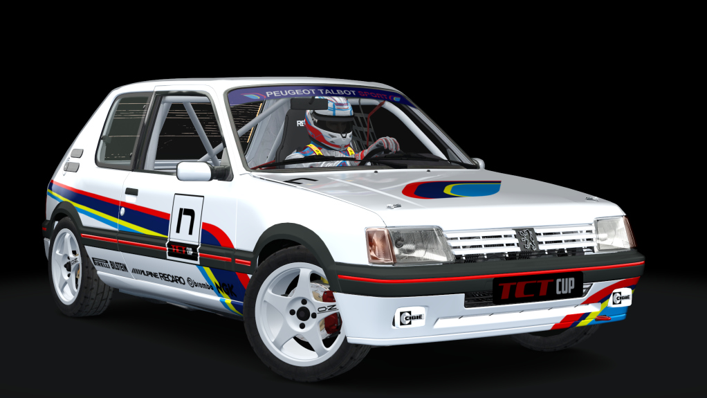 Peugeot 205 TCT Cup, skin pts