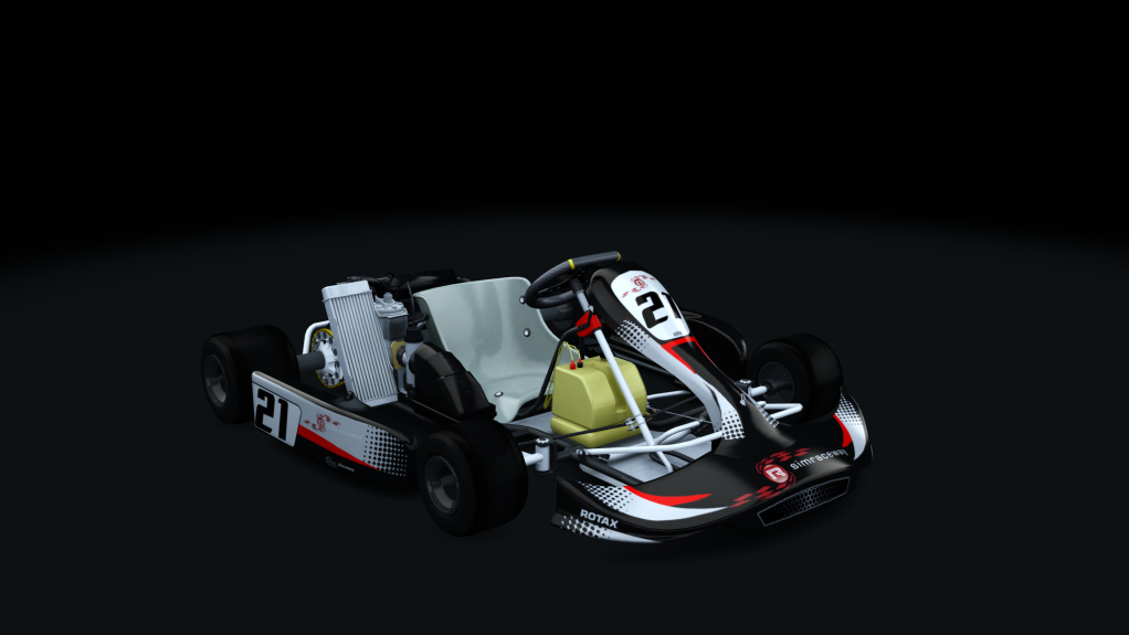 Rotax Senior Kart_fix_v4, skin 21
