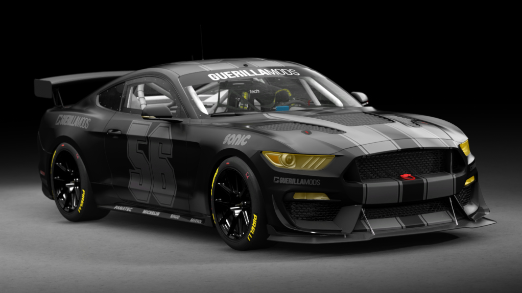 Ford Mustang GT4, skin 56_guerilla_racing