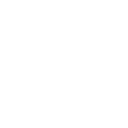 GT4 McLaren 570S Badge