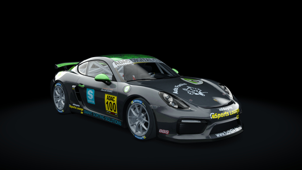 Porsche Cayman GT4 Digital Cup, skin 100-Ahrweiler