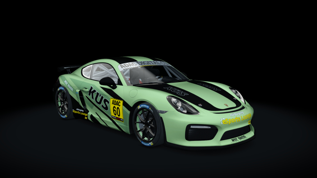 Porsche Cayman GT4 Digital Cup, skin 60-Sinzig