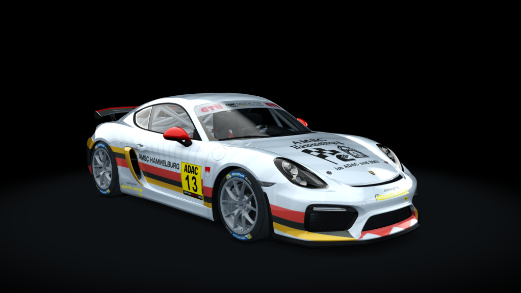 Porsche Cayman GT4 Digital Cup, skin ADAC_13_Hammelburg1