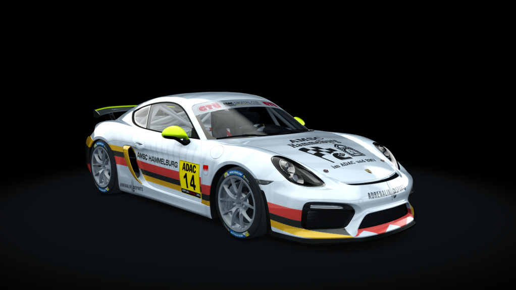 Porsche Cayman GT4 Digital Cup, skin ADAC_14_Hammelburg2