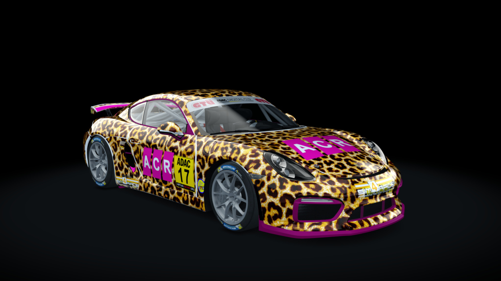 Porsche Cayman GT4 Digital Cup, skin ADAC_17_Radevormwald