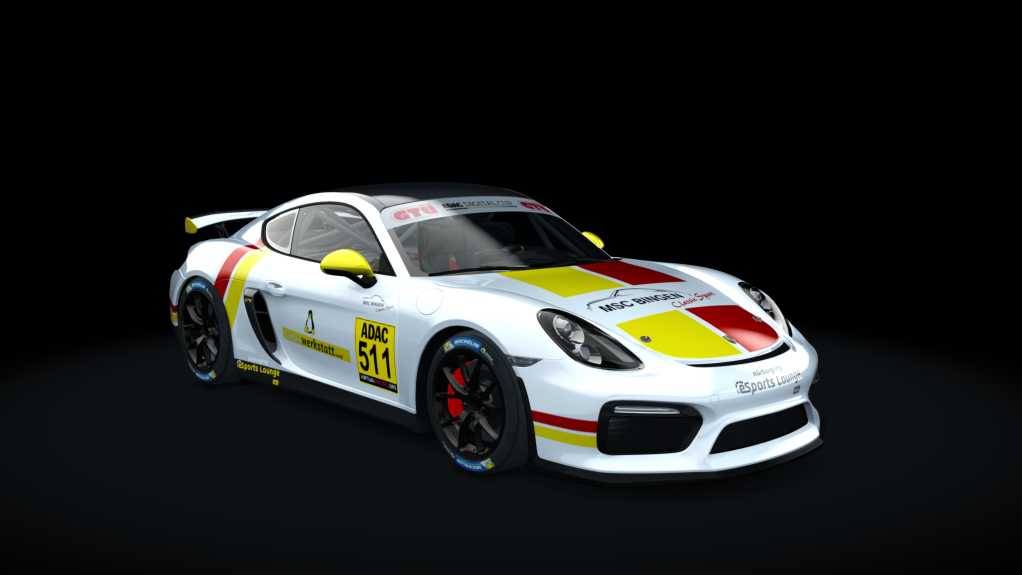 Porsche Cayman GT4 Digital Cup, skin ADAC_511_Bingentwo