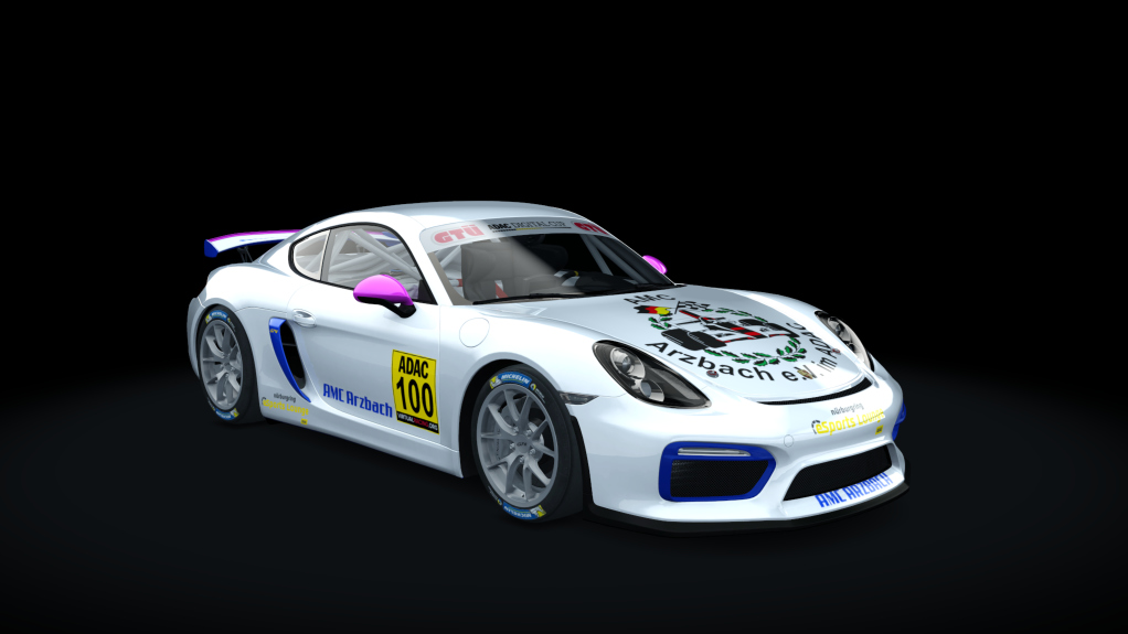 Porsche Cayman GT4 Digital Cup, skin GT4_100_DC