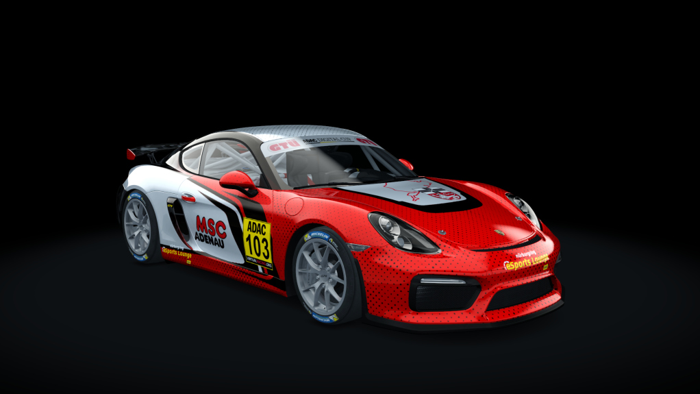 Porsche Cayman GT4 Digital Cup, skin GT4_103_DC