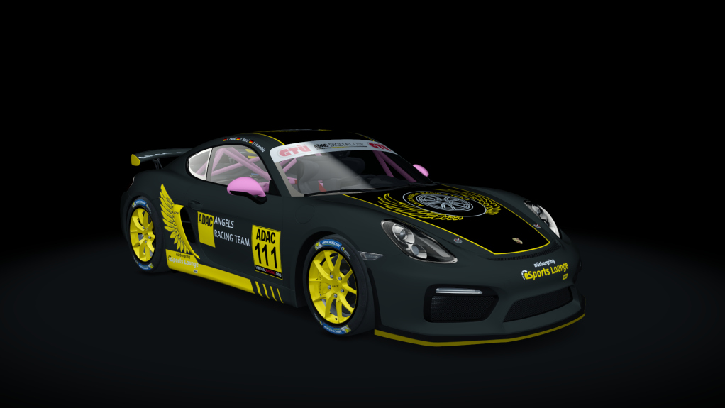 Porsche Cayman GT4 Digital Cup, skin GT4_111_DC