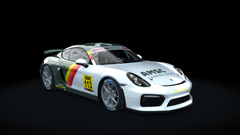 Porsche Cayman GT4 Digital Cup, skin GT4_113_DC