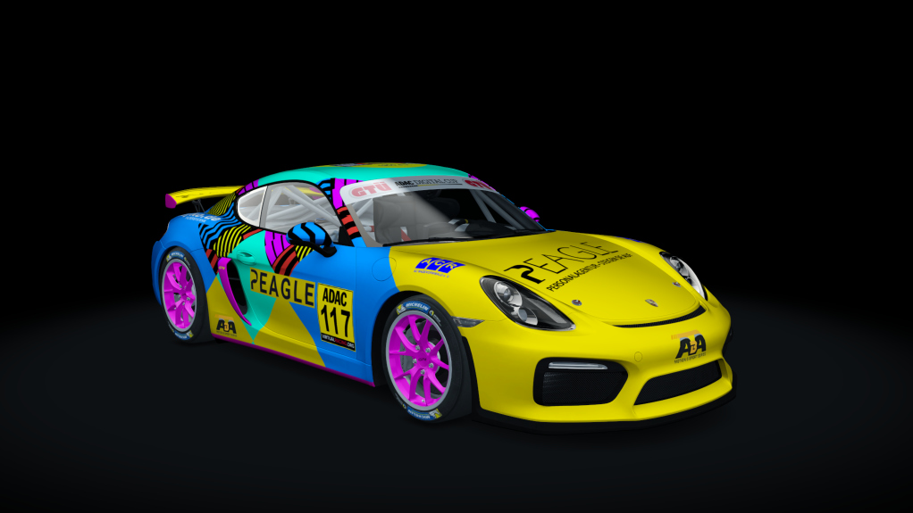 Porsche Cayman GT4 Digital Cup, skin GT4_117_DC