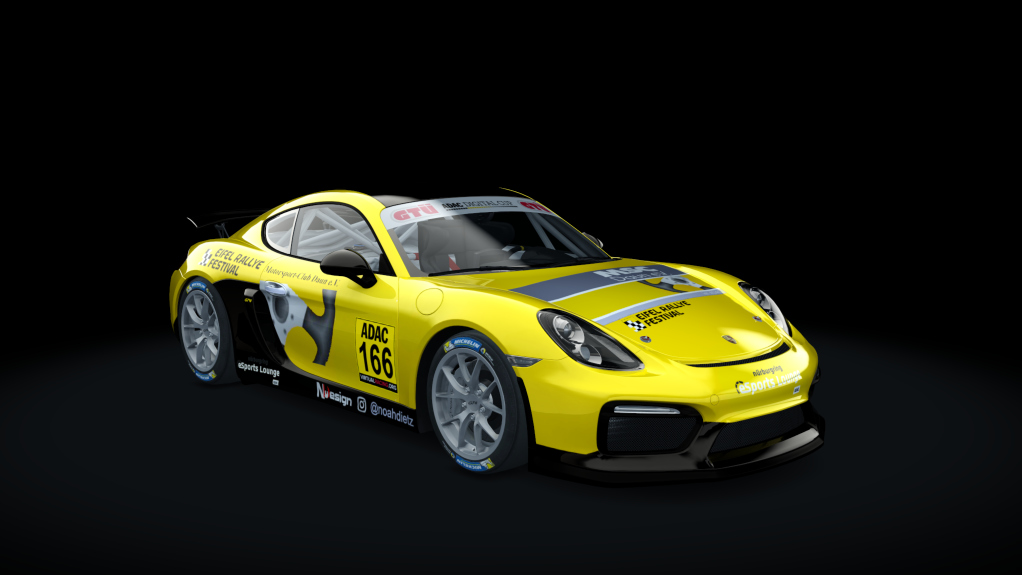 Porsche Cayman GT4 Digital Cup, skin GT4_166_DC