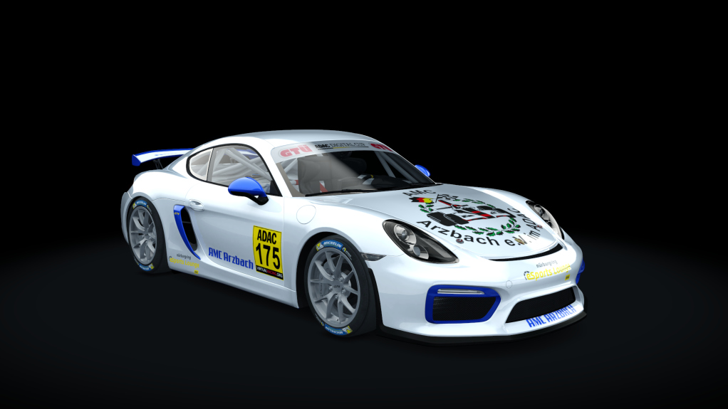 Porsche Cayman GT4 Digital Cup, skin GT4_175_DC