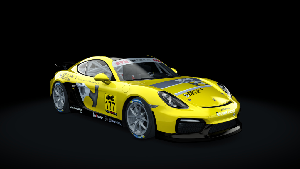 Porsche Cayman GT4 Digital Cup, skin GT4_177_DC