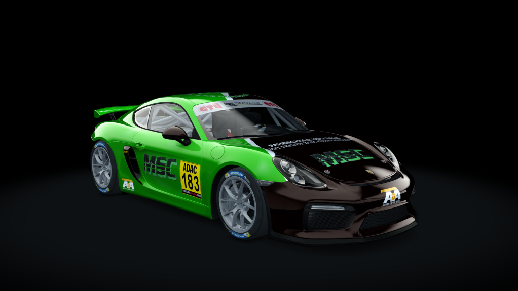 Porsche Cayman GT4 Digital Cup, skin GT4_183_DC