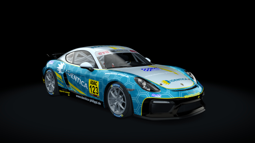 Porsche Cayman GT4 Digital Cup, skin gt4_123_esc