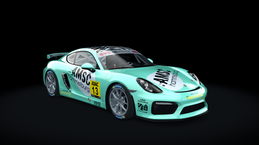 Porsche Cayman GT4 Digital Cup, skin gt4_13_esc