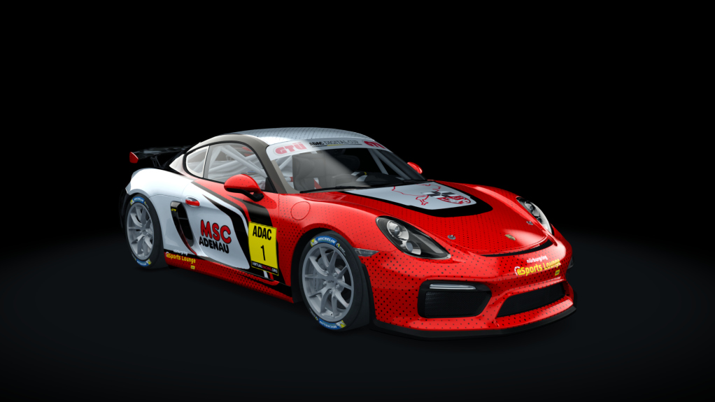 Porsche Cayman GT4 Digital Cup, skin gt4_1_esc