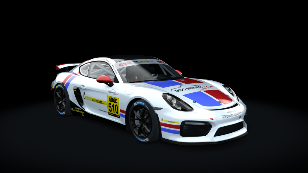 Porsche Cayman GT4 Digital Cup, skin gt4_510_esc