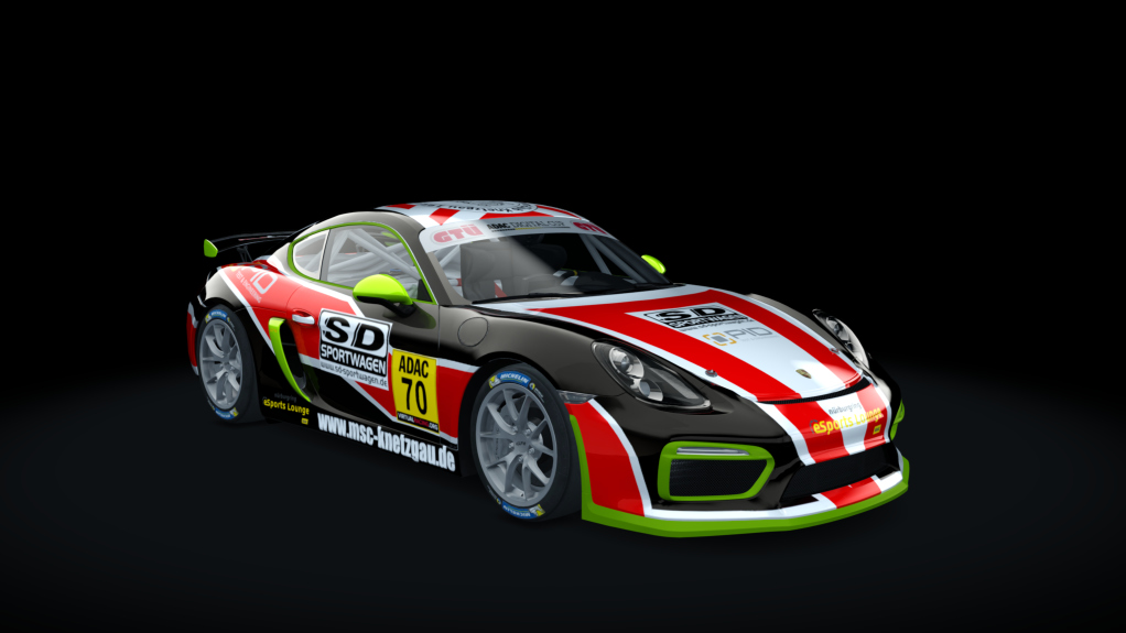 Porsche Cayman GT4 Digital Cup, skin gt4_70_esc