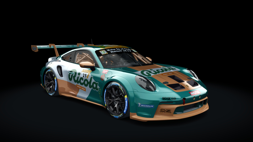 Porsche 911 GT3 Cup 992, skin 25_MSC_Michael_Schwan_S2