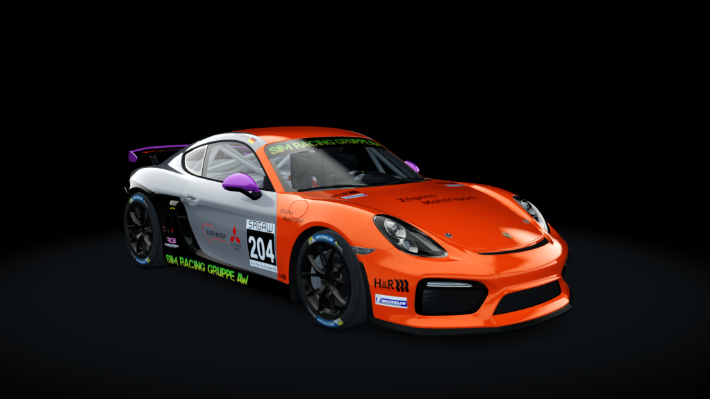 Porsche Cayman GT4 Clubsport, skin 204_Vin_Zilgens_Zilgens_Motorsport