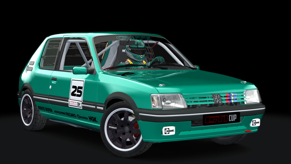 Peugeot 205 GTI Cup, skin griffe