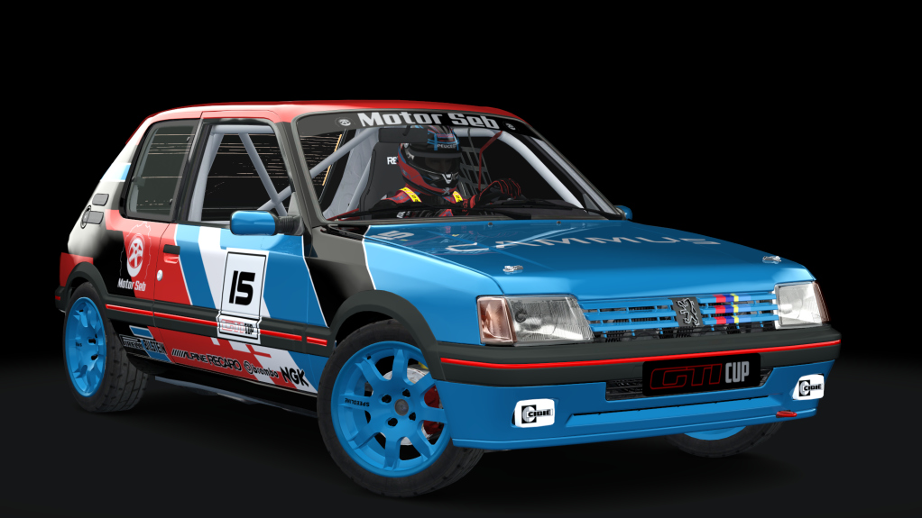 Peugeot 205 GTI Cup, skin motorseb