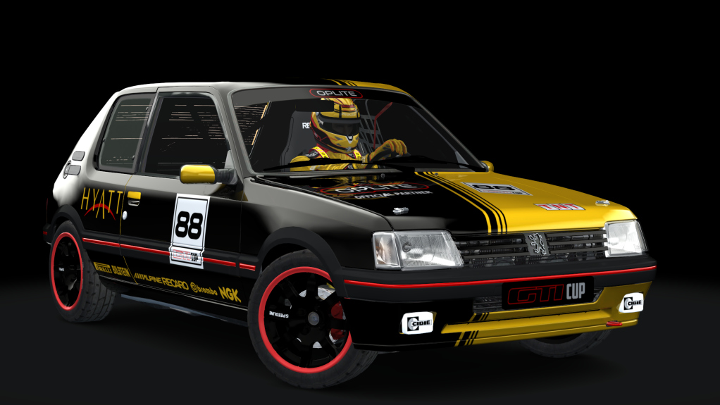 Peugeot 205 GTI Cup, skin oplite