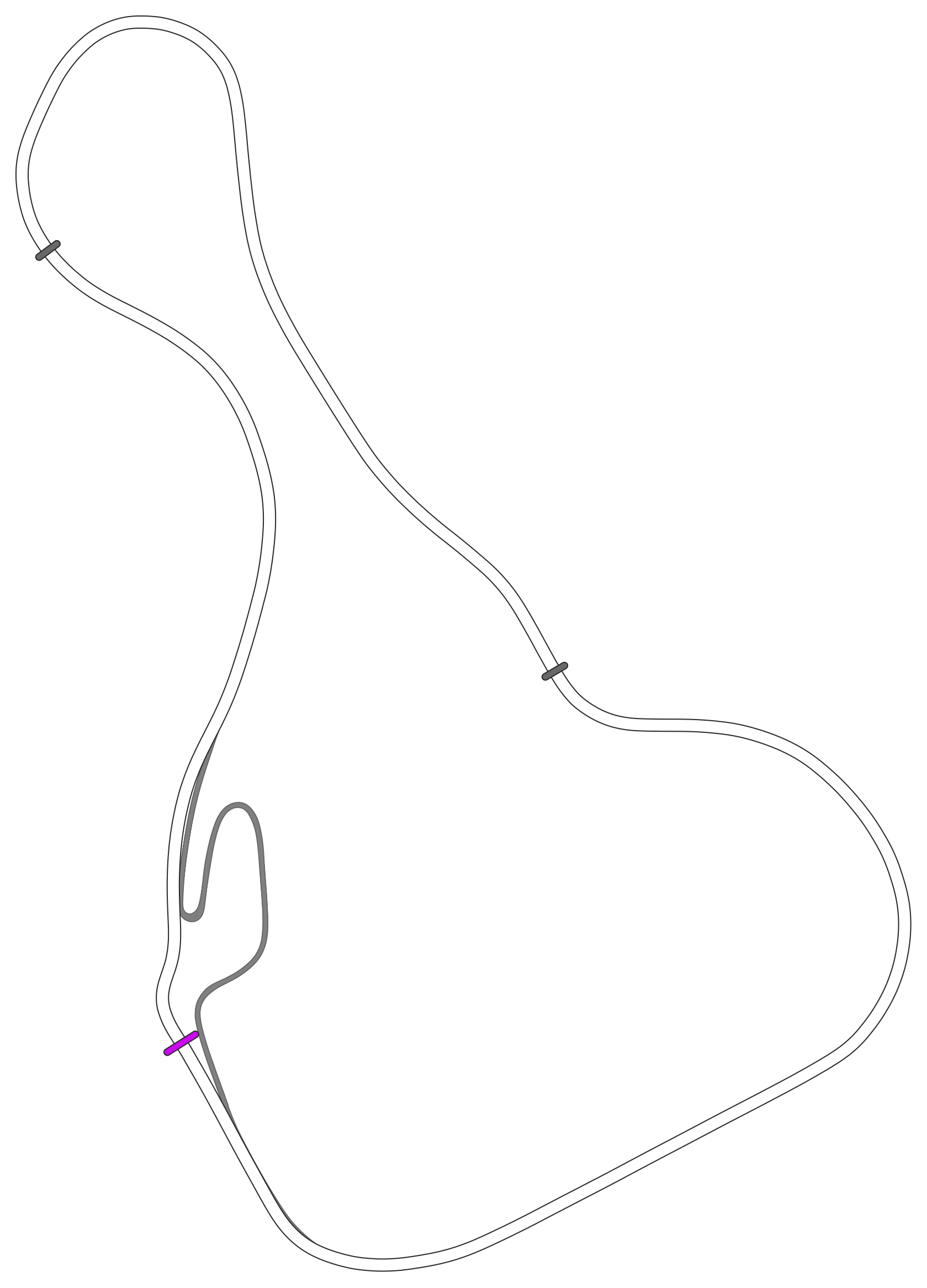 Nemuno Ziedas Fast Lap (No Chicane)